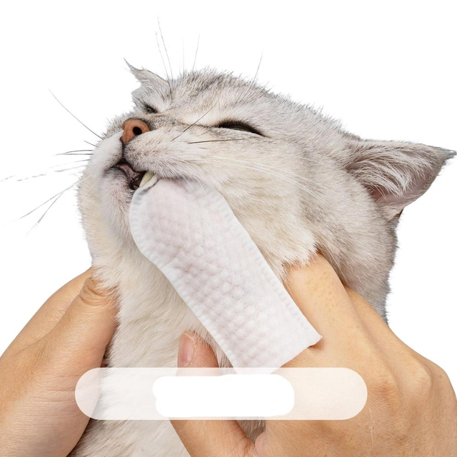 Pet Finger Wipes Making Machine3