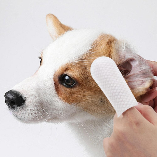 Pet Finger Wipes Making Machine1