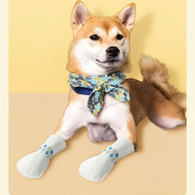 Dog Paw Covers Making Machine1